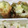 ゆけり３兄弟's cooksnap of when they made ちくわのチーズin磯辺揚げ～お弁当にも～.