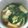 クックBLTENE☆'s cooksnap of when they made チンゲン菜と豆腐のスープ.