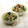 クックDAD's cooksnap of when they made 春わかめと豆苗・もやしの簡単和え物.