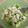 クックamicchi's cooksnap of when they made 豆腐とアボガドの柚子胡椒ドレッシング和え.
