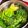 miyayosi's cooksnap of when they made シャキッ！ほうれん草のゆで方｡:+*.゜.