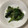 coseiko's cooksnap of when they made 味噌deほうれん草のごま和え.