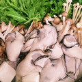 ☆とらねこトラちゃん's cooksnap of when they made 覚えやすい出汁の牡蠣鍋♡.