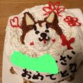くらくらちゃん's cooksnap of when they made 秋田犬サンタのクリスマスカップケーキ☆.