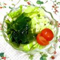 にきけん's cooksnap of when they made 白菜サラダ.