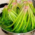 ♡てるてる♡'s cooksnap of when they made 多量のホウレンソウの茹で方.