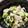 ★ゆむ★'s cooksnap of when they made アボカドと豆腐の和えもの.