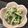 ほっほ's cooksnap of when they made 大根、きゅうり、大葉の簡単さっぱりサラダ.