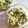 みこひろママ's cooksnap of when they made 春✿菜の花の辛子白和え.