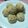 shimaron's cooksnap of when they made 卵なし！サラダ油でほろほろきなこクッキー.