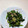 ♪ゆかたん♡'s cooksnap of when they made お箸がすすむほうれん草お浸し.