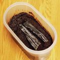 らびのゆうママ's cooksnap of when they made 味噌がおいしくなる保存法.