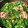 ★まいちむ★'s cooksnap of when they made 豚バラとほうれん草のスタミナ鍋.
