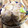 りょーこ0520's cooksnap of when they made 簡単柔らか豚の生姜焼き☆めんつゆ万能☆.