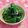 赤い電話's cooksnap of when they made 【副菜】ブロッコリーのおかかマヨ.