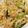 G☆Ponchi's cooksnap of when they made 辛くない！新玉ねぎの中華サラダ.