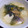 お塩と砂糖's cooksnap of when they made ダシダとショウガの簡単ワカメスープ.