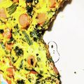 いるっち's cooksnap of when they made ほうれん草のオムレツ.