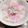 レインボーライス's cooksnap of when they made さくらでんぶご飯.