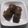 クックMVXCM0☆'s cooksnap of when they made オレンジ☆チョコケーキ.