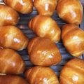 赤玉ねぎ's cooksnap of when they made ふんわり柔らか✿基本のバターロール✿.
