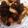 ♬あじさいのレシピ♬'s cooksnap of when they made カレイのカレー照り焼き♡.