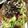 クック7FNN0F☆'s cooksnap of when they made 梅きゅうりのせ☆さっぱり冷奴.