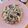 かわゆう1211's cooksnap of when they made しらすと海苔のクリームパスタ.