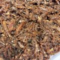 碧夢果希's cooksnap of when they made 初めてでも簡単　いかなごのくぎ煮.