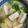 ちゃぎー's cooksnap of when they made 豆腐の味噌汁.
