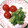 ぼくグディ's cooksnap of when they made レンジで1分半！菜の花のからし和え.