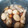 inokero's cooksnap of when they made 炊飯器で簡単！手羽元と大根の甘辛煮.
