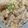 わたるんママ's cooksnap of when they made 簡単鯖フィレの炊き込みご飯.