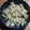 ニゲラ。's cooksnap of when they made 卵白消費/ケーキ作りで余った卵白の炒り卵.