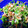 ♥おきるか♥'s cooksnap of when they made 簡単おかず☆ピーマンと桜エビのおかか和え.