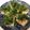 クックI8TTIX☆'s cooksnap of when they made 梅大葉で絶品✿豆腐ステーキさっぱりポン酢.