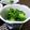 ひっこ's cooksnap of when they made 菜の花のお浸し.