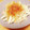 hitomi♪＊'s cooksnap of when they made 新玉ねぎと大根おろし.
