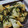 ゆきちん121212's cooksnap of when they made 長いもステーキのバター白だし焼き.