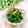 Satoco❋'s cooksnap of when they made ほうれん草とナッツの醤油麹和え.