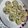 クック52GTGS☆'s cooksnap of when they made ホワイトデー　簡単！チョコチップクッキー.