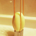 mutsu＊'s cooksnap of when they made わたしのお花ゆでたまご.