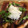 saki1010's cooksnap of when they made ダイエット！揚げない茄子の揚げ浸し.