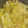 ブランシュkuu's cooksnap of when they made 簡単。白菜とツナの炒め物.