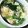 タイガーパンダ's cooksnap of when they made たっぷり卵とほうれん草のトロトロスープ.