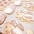 おむすび。's cooksnap of when they made トトロクッキー.