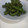 りえこﾏﾏ's cooksnap of when they made お手軽ししとうの炒めもの♪.