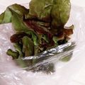 アクセル☆'s cooksnap of when they made 【一週間もたせる】サニーレタスの保存方法.