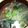 ☆★ケイト★☆'s cooksnap of when they made もやし&ニラの野菜たっぷり中華スープ.
