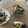 絢香のママ's cooksnap of when they made わかめたっぷりマヨサラダ.